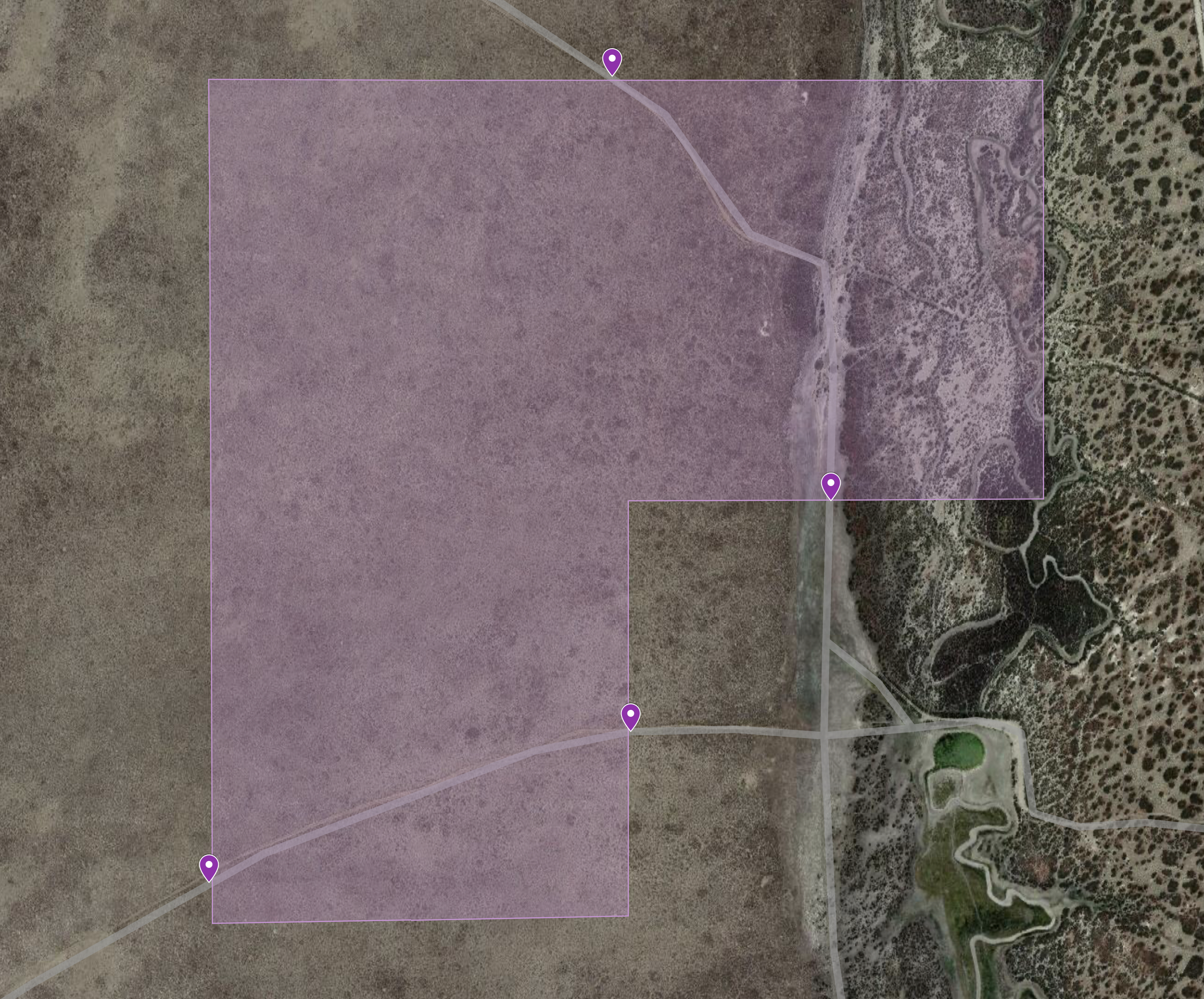 Dream This: 120 Acres w/ Oil/Gas Potential